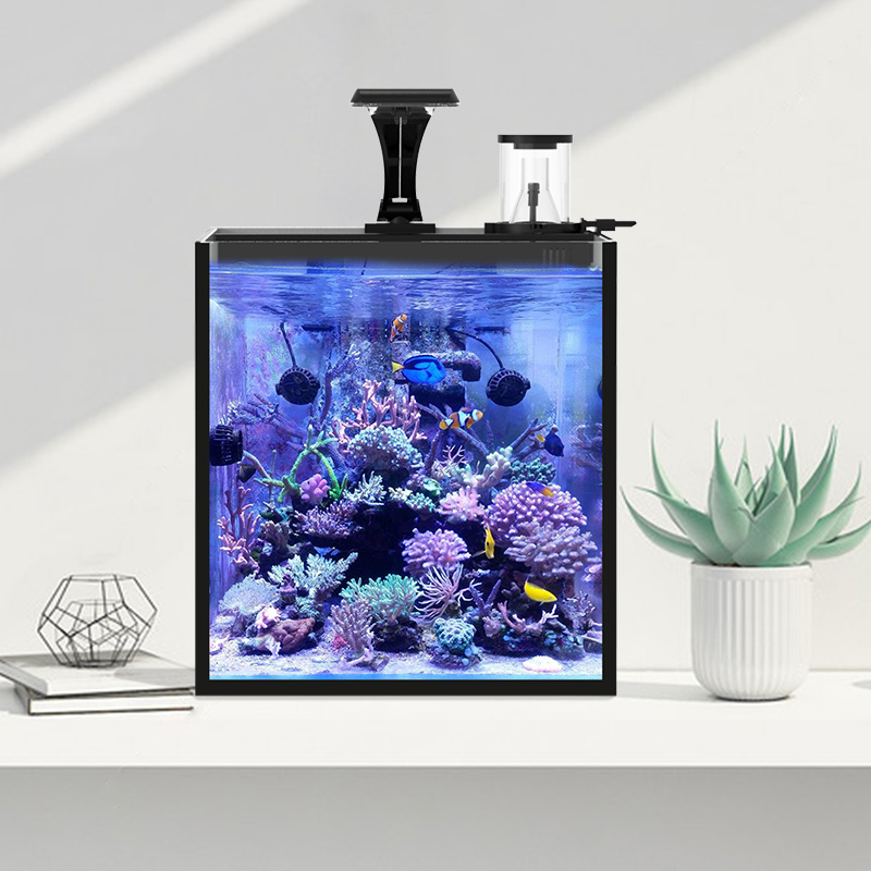 Ultra Clear Glass Mini Salt Wa - Aquarium Marine Salt recensione e prezzo