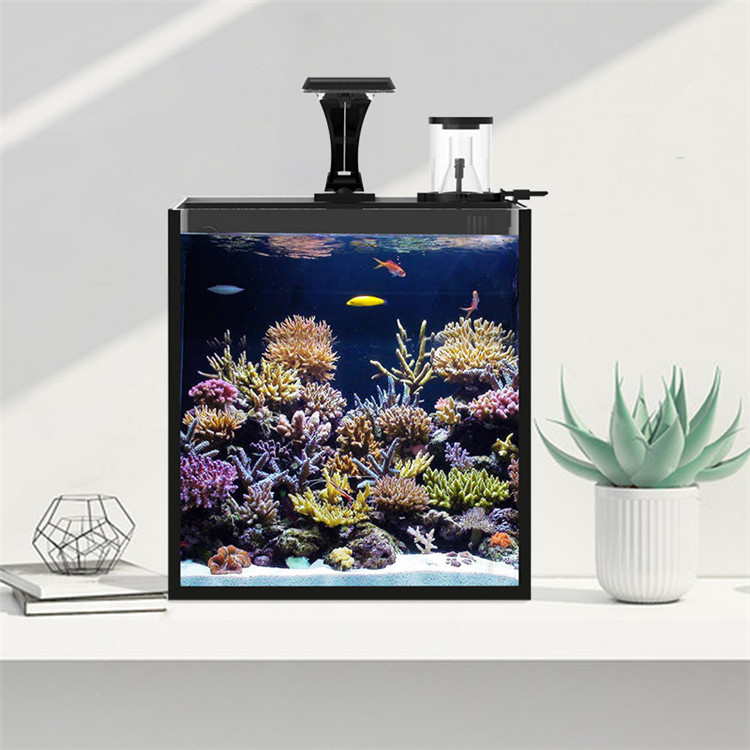 Ultra Clear Glass Mini Salt Wa - Aquarium Marine Salt recensione e prezzo