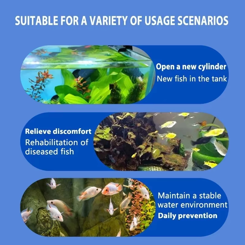 SIKEZHAN Fish Disease Treatmen - Aquarium Marine Salt recensione e prezzo
